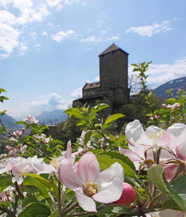 Schloss Tirol