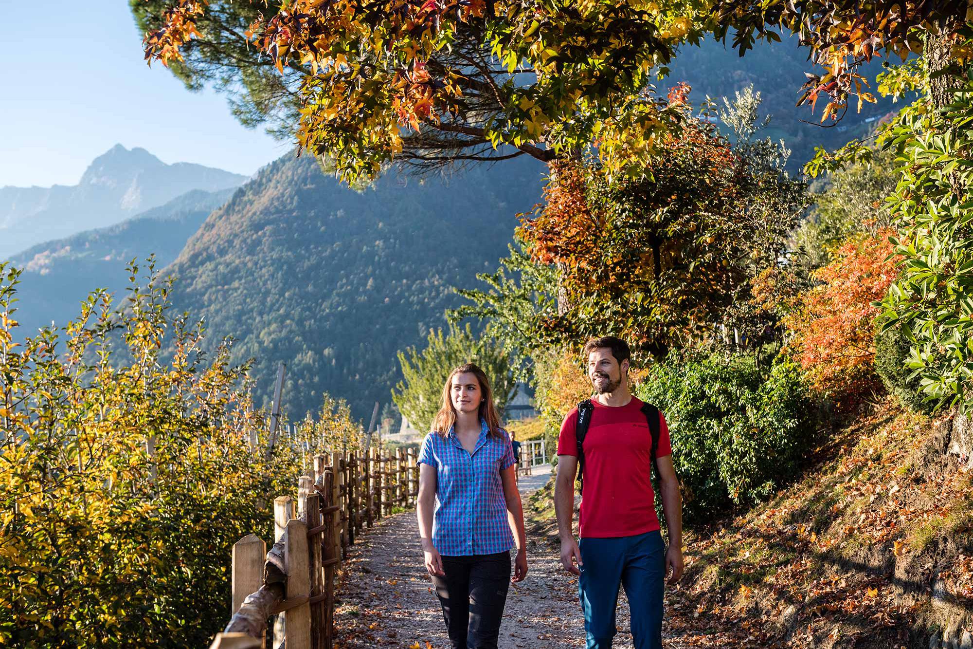 Herbstfärbung in Dorf Tirol